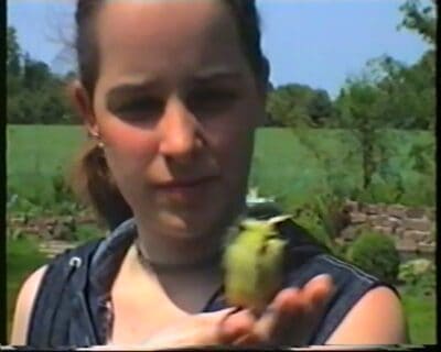 VTS_01_3_Vlieg-vogeltje-vlieg