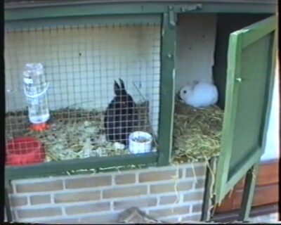 VTS_06_8_frietjes-eten-dus-niek-was-er-ook-bij