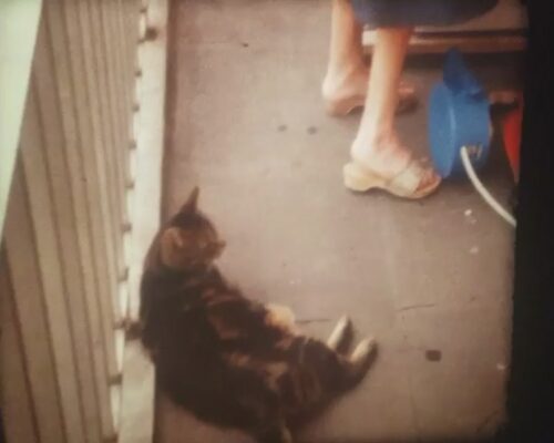 8mmH - Eerste Filmpje